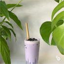 Biodegradable Paper Straws - BBT 8.25" x 0.39" - Pouches & More