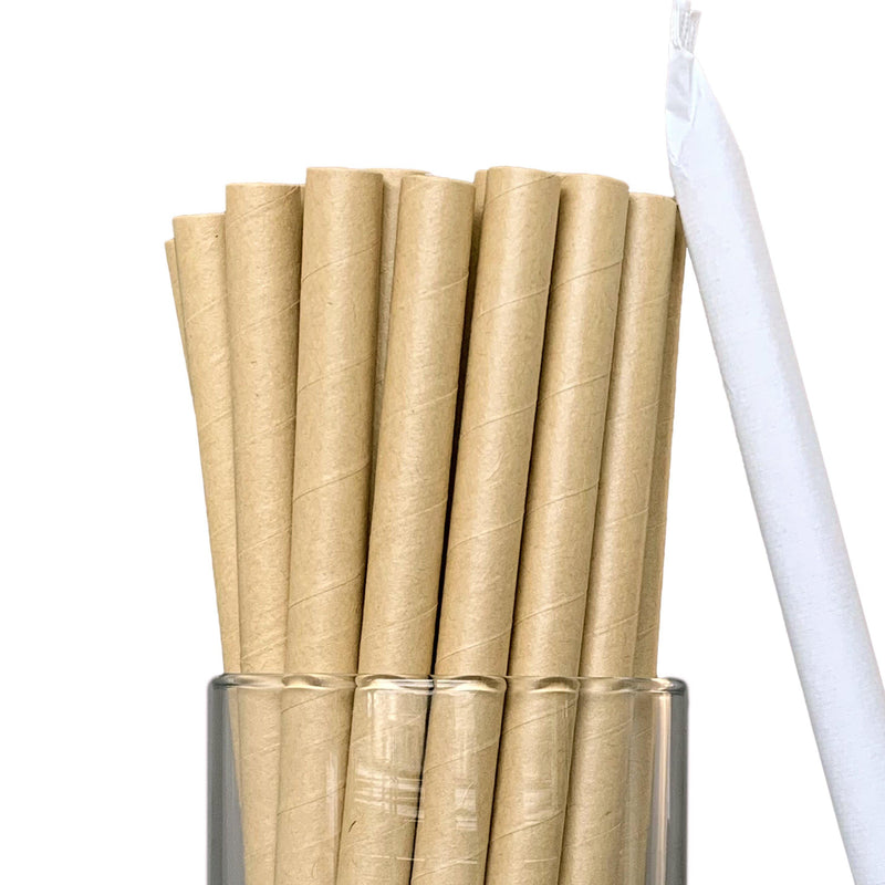 Biodegradable Paper Straws - BBT 8.25" x 0.39" - Pouches & More